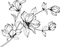 sketch background