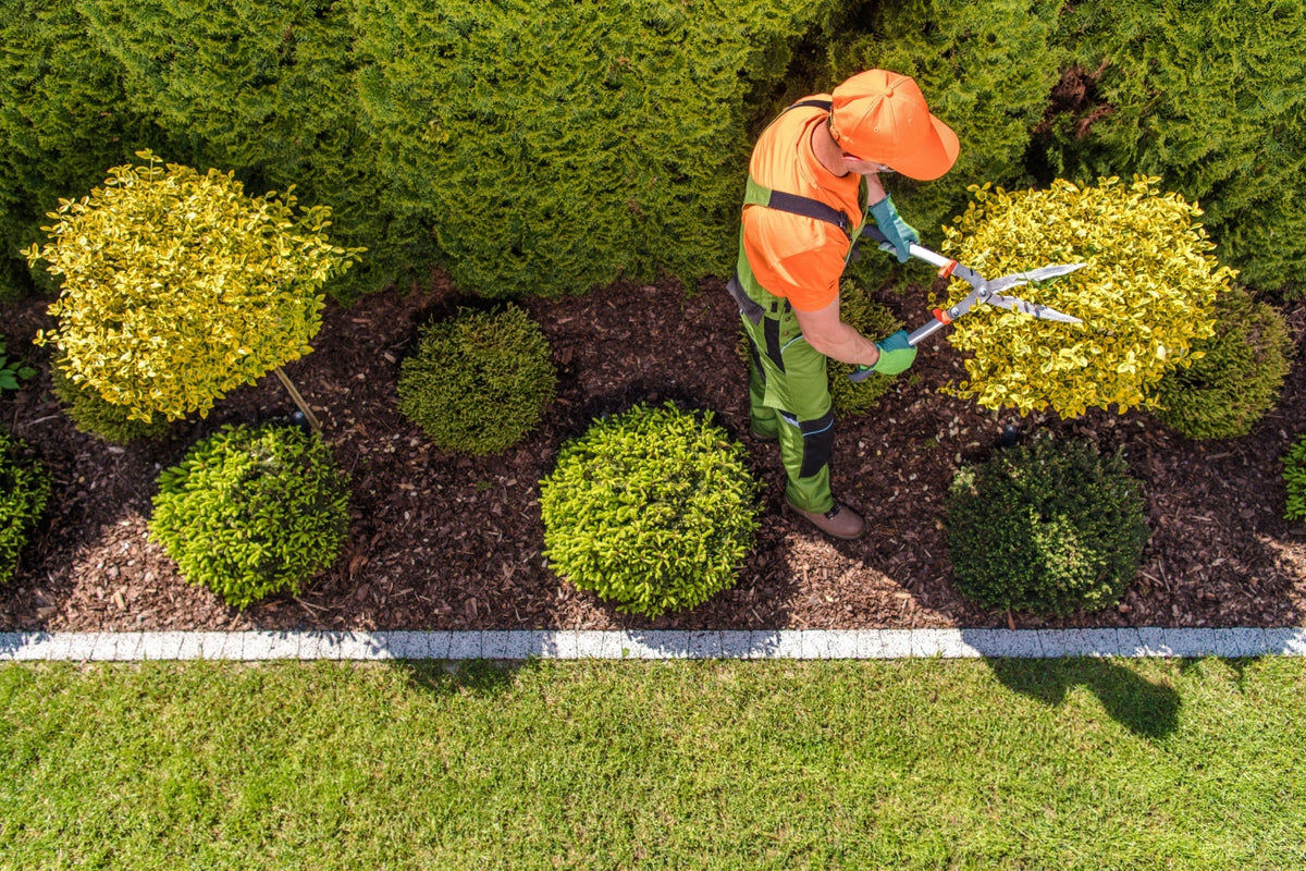 Topiaries 