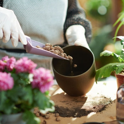 Planting
